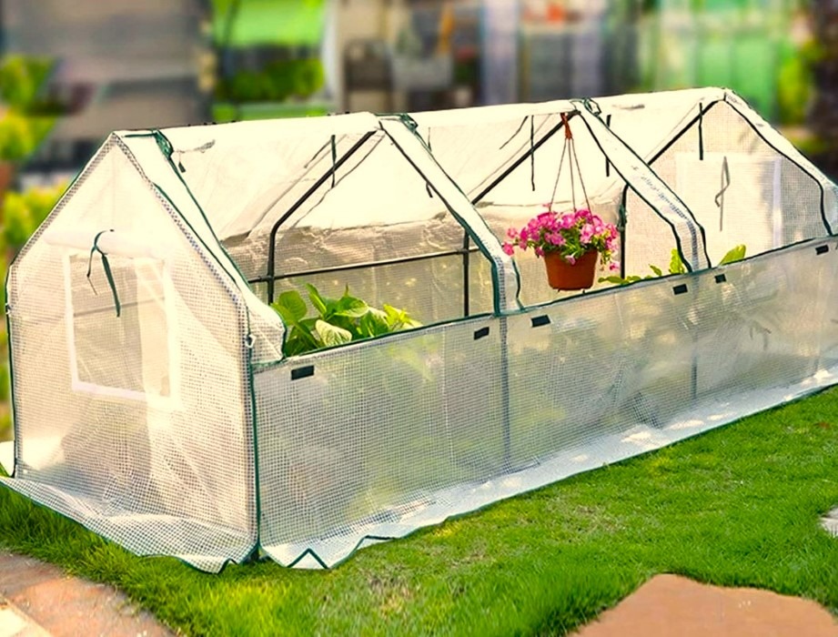 Small Plastic Greenhouse with Shelves