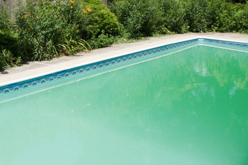 how to clean dead algae from the bottom of the pool