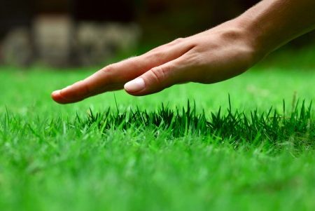 what is the best grass seed for pennsylvania