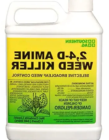 when should i spray 24 d on the lawn